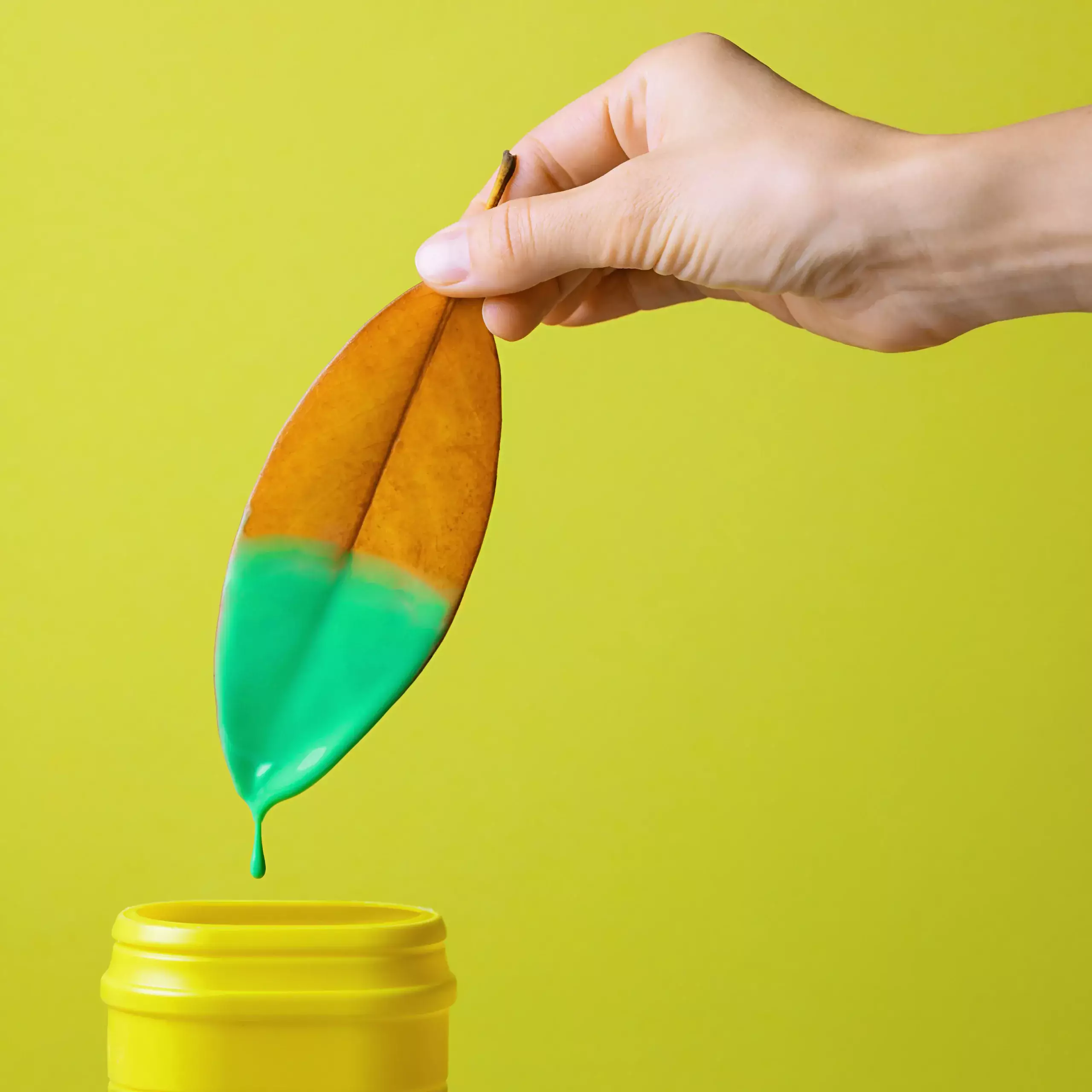 Une feuille trempée dans de la peinture verte pour illustrer le greenwashing