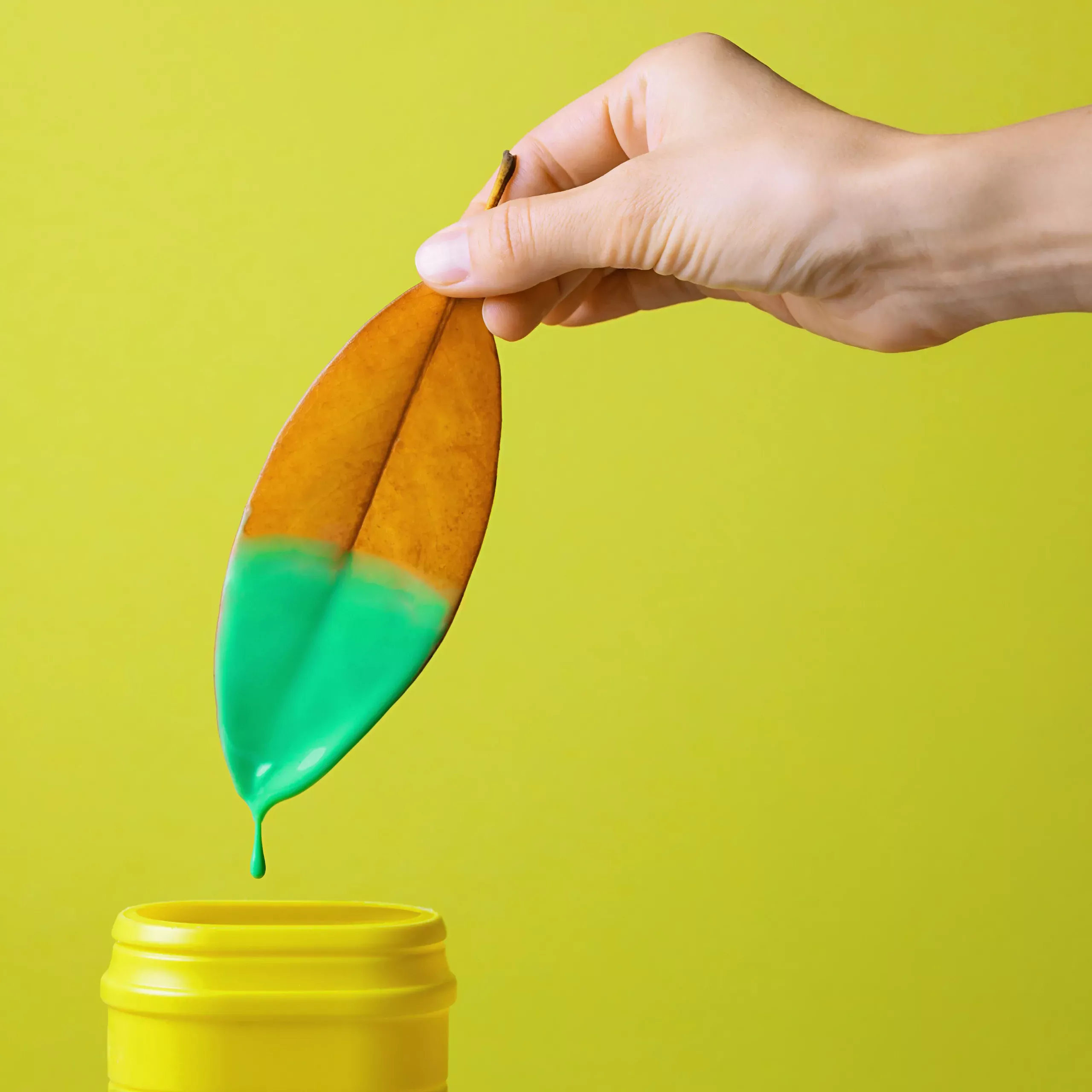 Une feuille trempée dans de la peinture verte pour illustrer le greenwashing