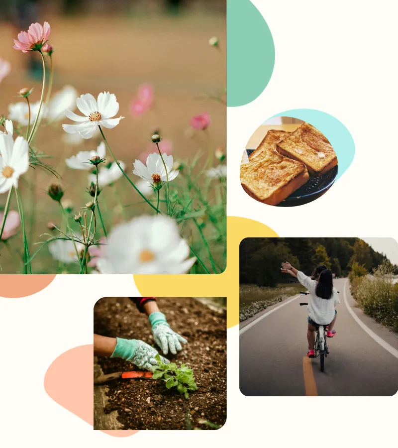 patchword d'images symbolisant le printemps