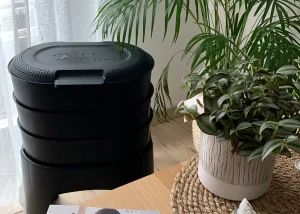 lombricomposteurs dans un appartement
