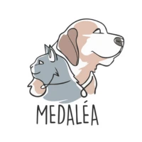 Logo de Medaléa une marque de médaille pour chiens et chats fabriquée en France