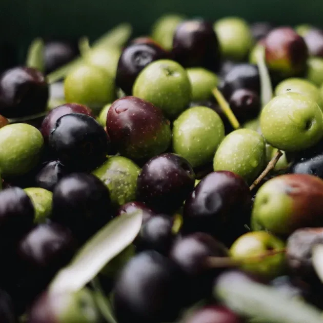 Des olives noires et vertes