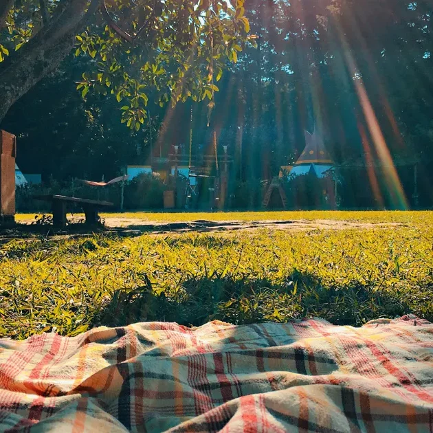 Une nappe de pique-nique dans l'herbe d'un parc