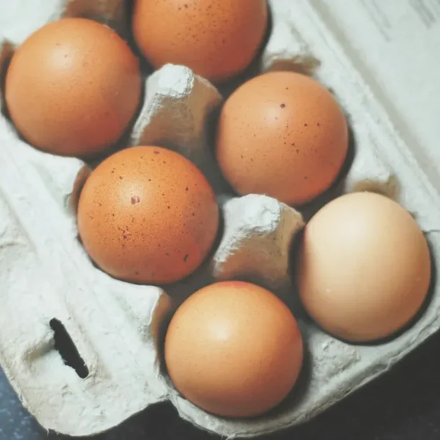 Une boîte de 6 œufs ouverte