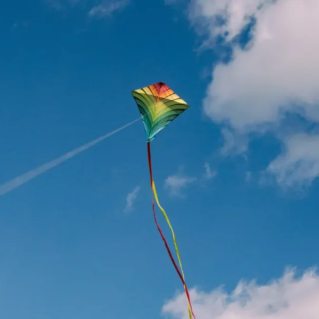 Un cerf-volant coloré dans le ciel